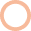 Decorative orange circle graphic
